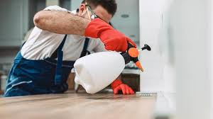 Emergency Pest Control Services in Carbondale, CO